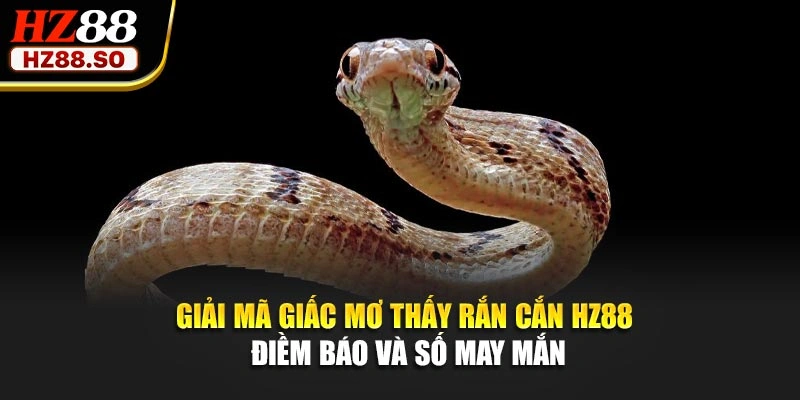 Giải Mã Giấc Mơ Thấy Rắn Cắn HZ88 – Điềm Báo Và Số May Mắn