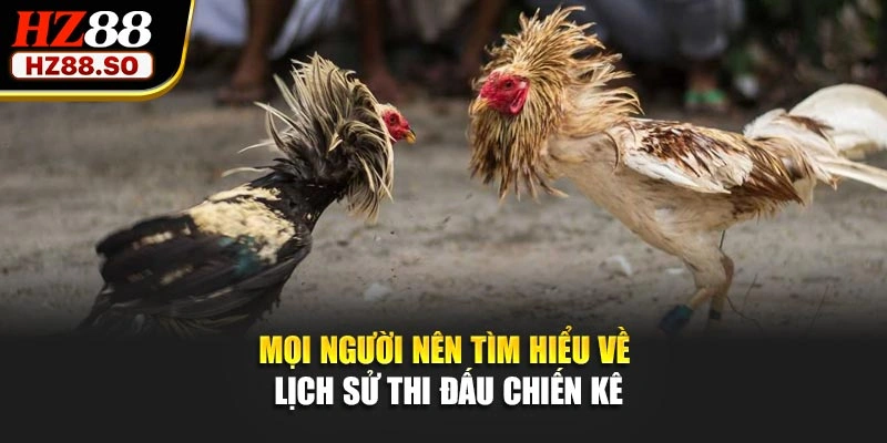 Mọi người nên tìm hiểu về lịch sử thi đấu chiến kê