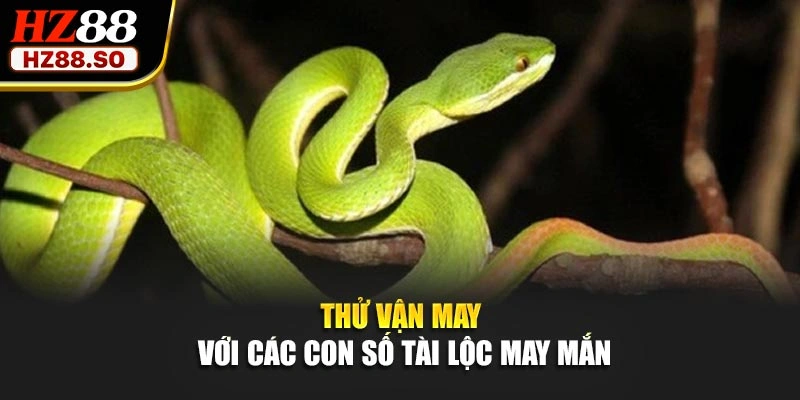 Thử vận may với các con số tài lộc may mắn